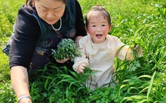 品色堂 成人小说